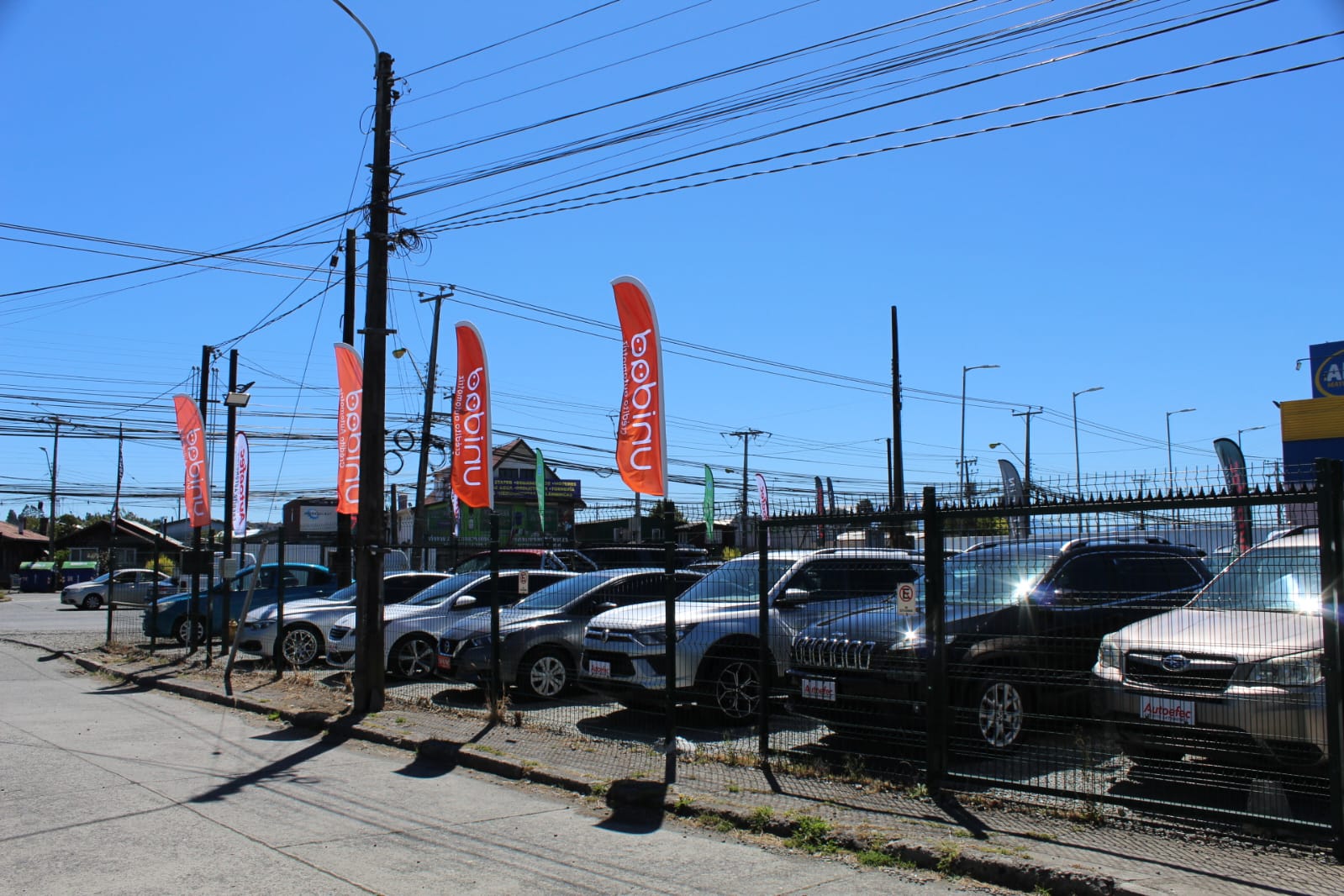 Autoefec Showroom